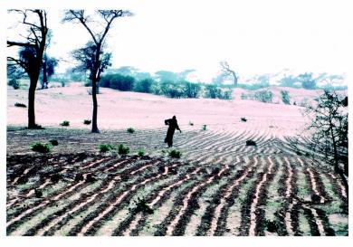 Main image of the artwork Huellas del hombre