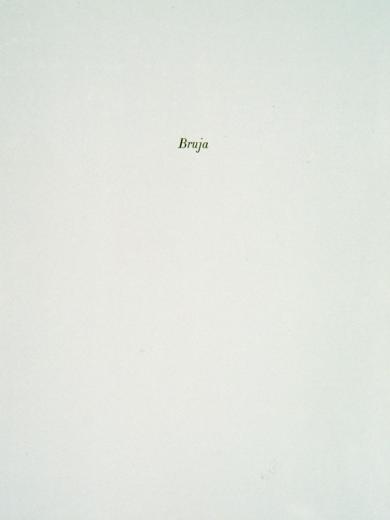 Main image of the artwork Bruja