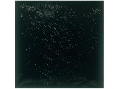 Main image of the artwork Cartografía: Sueño de la piel