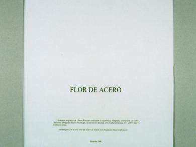 Main image of the artwork Flor de acero