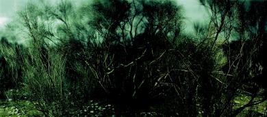 Main image of the artwork Acaso # 28