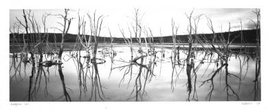 Main image of the artwork Austral XII