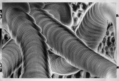 Main image of the artwork Ideografías nº 7