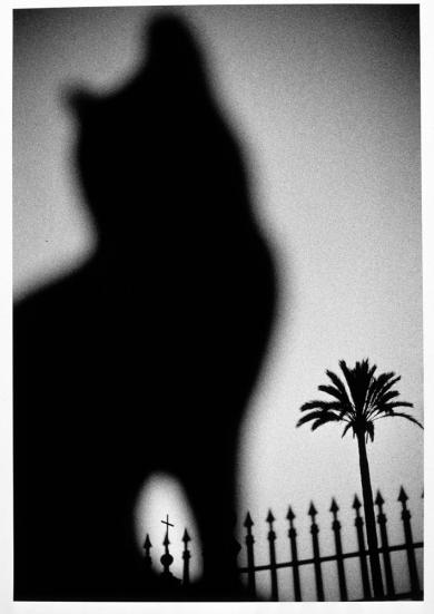 Main image of the artwork Sin título (Gato)