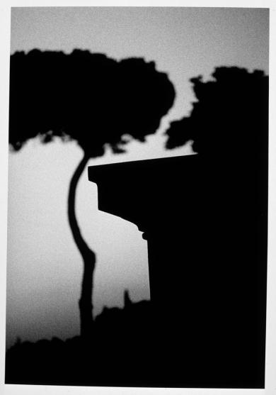 Main image of the artwork Sin título (El árbol)