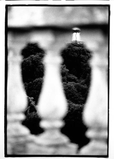 Main image of the artwork Sin título (Balaustrada)