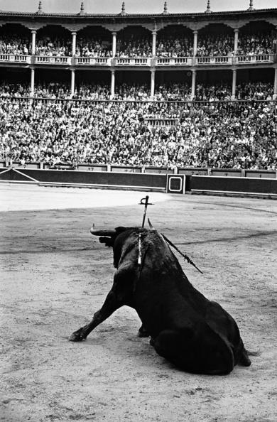 Main image of the artwork Sanfermines. Pamplona