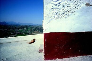 Main image of the artwork Olvera. Cádiz