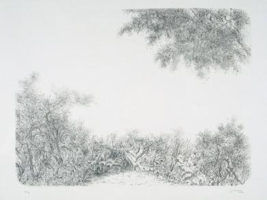 Main image of the artwork Paisaje de Madrid