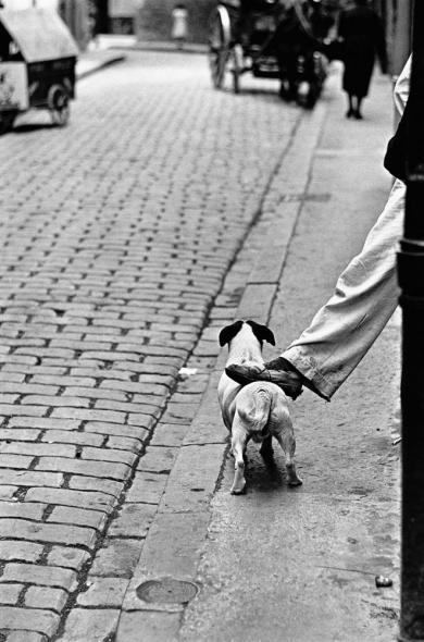 Main image of the artwork Sanfermines. Pamplona