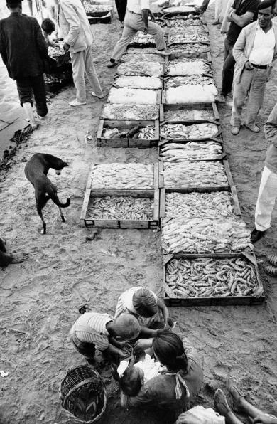 Main image of the artwork La playa