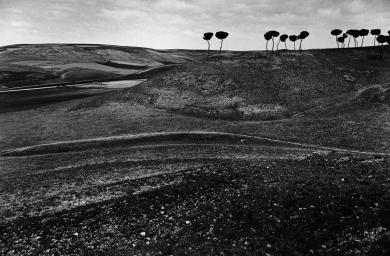 Main image of the artwork Desde el castillo