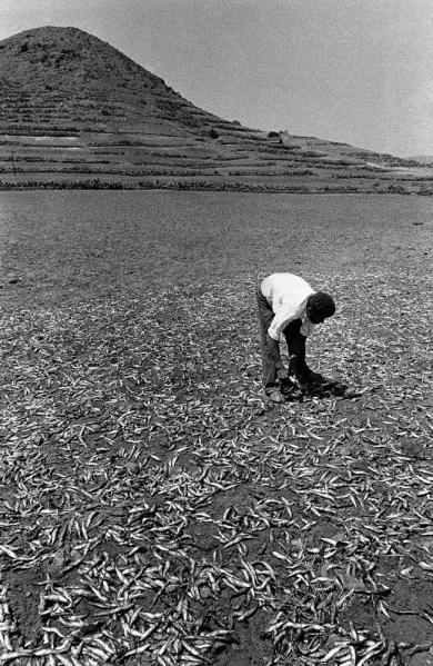 Main image of the artwork Abono. Barbate