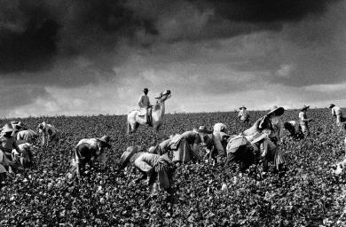 Main image of the artwork Lebrija. Sevilla