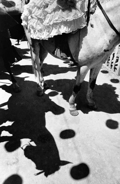 Main image of the artwork Feria de Abril. Sevilla