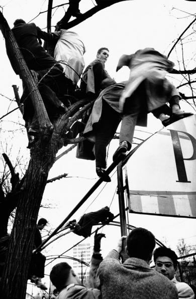 Main image of the artwork Paseo de la Castellana. Madrid