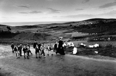 Main image of the artwork Portonovo. Pontevedra