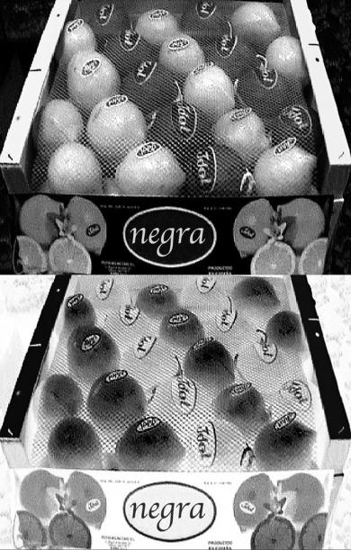 Main image of the artwork Blanca sobre negra