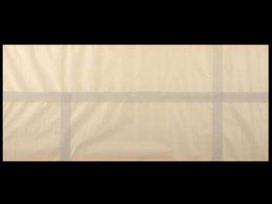 Main image of the artwork Sin título