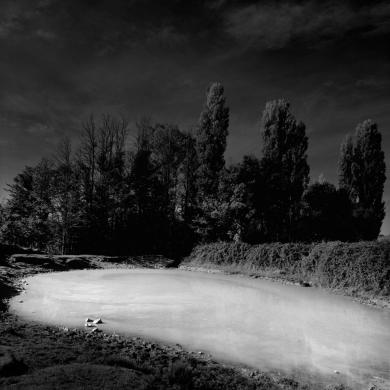 Main image of the artwork Muñopepe