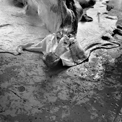 Main image of the artwork Tetela