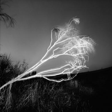 Main image of the artwork Arroyomolinos