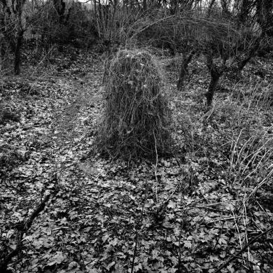 Main image of the artwork Casa de Campo