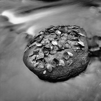 Main image of the artwork Laguna Negra