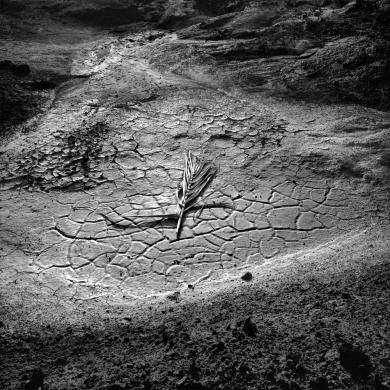 Main image of the artwork Portman