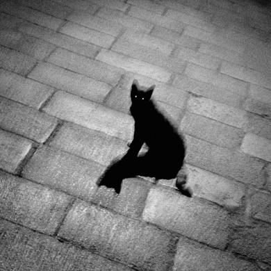 Main image of the artwork Gran Canal