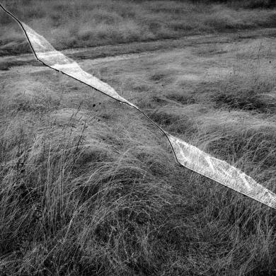 Main image of the artwork La Acebeda