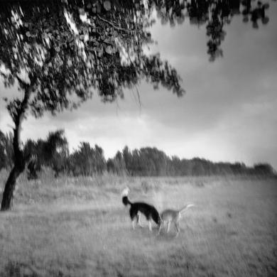 Main image of the artwork La isla