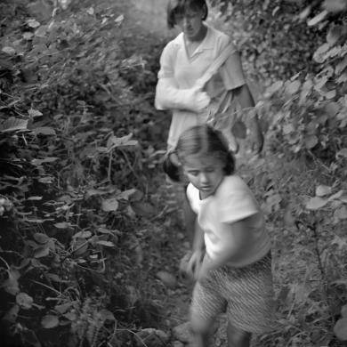 Main image of the artwork La isla