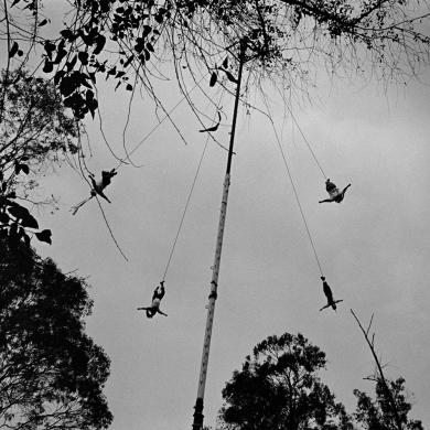 Main image of the artwork D. F.