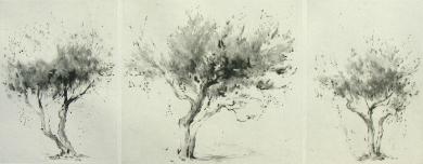 Main image of the artwork Olivo (tríptico)