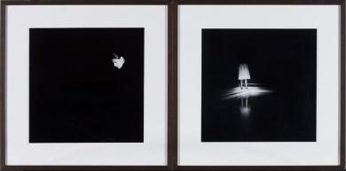 Main image of the artwork El Bosque (Olga y la piscina)