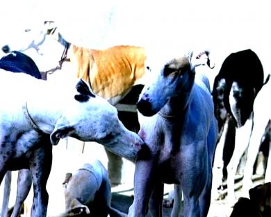 Main image of the artwork Entre pecho y espalda