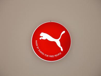 Main image of the artwork Proyecto Asia (Puma)