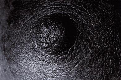 Main image of the artwork Sin título