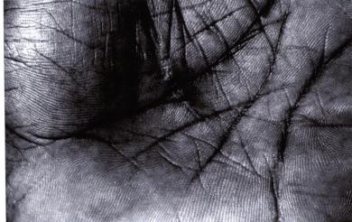 Main image of the artwork Sin título