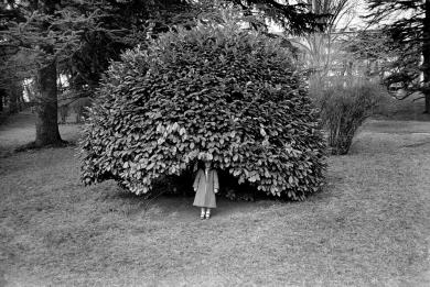 Main image of the artwork Sin título