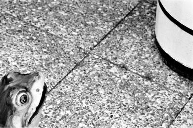 Main image of the artwork Sin título