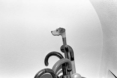 Main image of the artwork Sin título