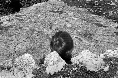 Main image of the artwork Sin título