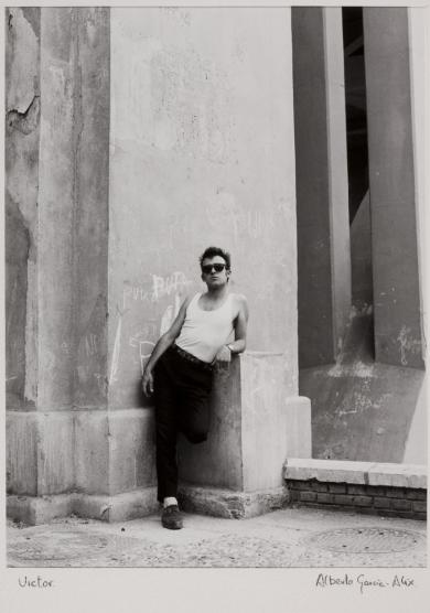 Main image of the artwork Los coyotes