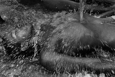 Main image of the artwork Purificación