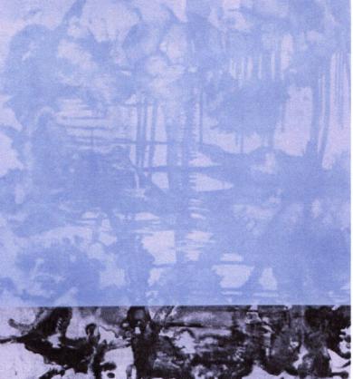 Main image of the artwork E as estrelas do céu cairam na terra!