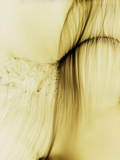 Main image of the artwork Freischwimmer 38