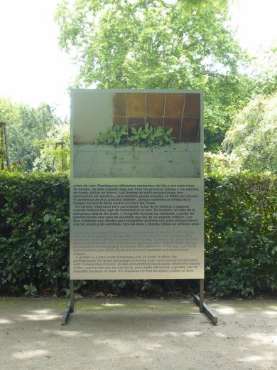 Main image of the artwork Fotografía para Jardines