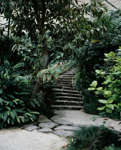 Main image of the artwork Sabal